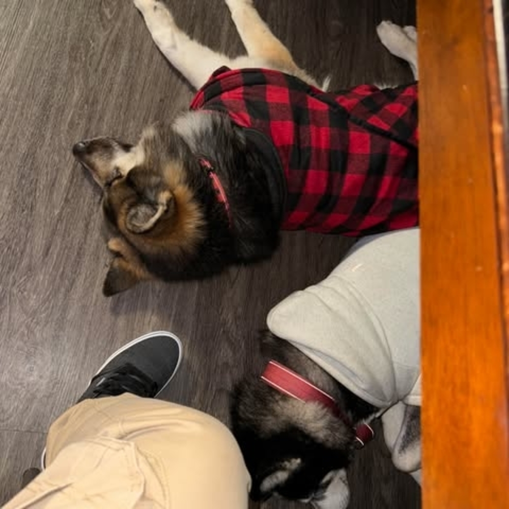 Meet your Posher, Ramiro